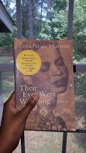 Summary of their eyes were watching god novel