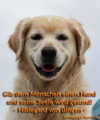 No wonder we love dogs so much! Homepage Hund Hundebilder Mit Spruchen Hundespruche