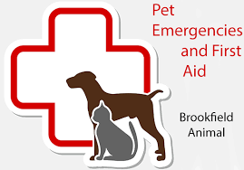 We did not find results for: Contact Us Brookfield Animal Hospital