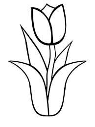 Gambar bunga tulip berikut bisa didownload gratis dan digunakan untuk keperluan sendiri. Kumpulan Gambar Sketsa Bunga Tulip Yang Cantik