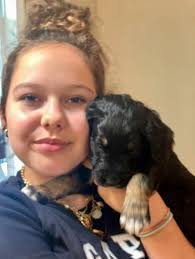 Puppies and their owners are beautiful