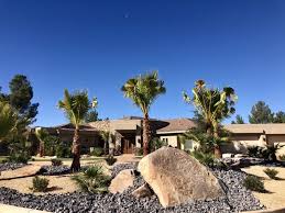 Über 7 millionen englischsprachige bücher. Desert Landscape With Large Boulders And Palms Call The Yard Dr 435 669 0733