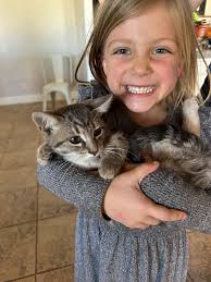 Where is an affordable place to get my cat spayed? We rescued a pregnant  cat, now we need to rehome 3 kittens and get the cat spayed. Does anyone  want a super