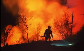 Según los testigos, el siniestro se habría prov. Nueve Incendios Forestales Siguen Activos De Los 36 Provocados En Un Solo Dia El Diario Montanes