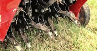 It pulls out approximately one half inch wide and three inches long grass and soil plug. Aeration And Overseeding For Lawns Step By Step Guide Lawn Chick