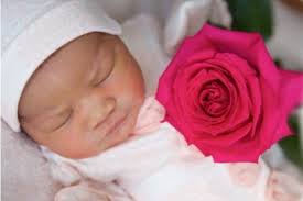 Lloyds banking group seeing no deterioration in loan book and has record deposits. Meet Christina Ryann Lloyde Photos Of Rapper Lloyd Banks Daughter