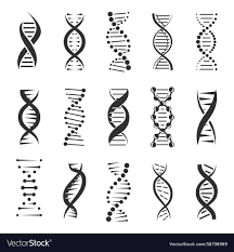 Double Dna Helix Icons Royalty Free Vector Image Spon Helix Icons Double Dna Ad Dna Tattoo Biology Tattoo Dna Helix