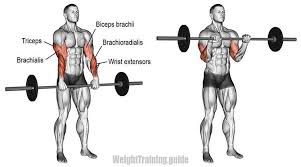 тренировка на все группы мышц в тренажерном зале для мужчин Pin On Exercise Arms