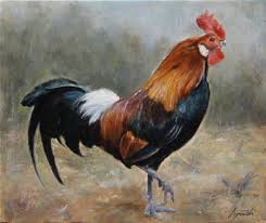 If you know synonyms for animal oil, then you can share it or put your rating in listed similar words. Rooster Commissioned Animal Oil Painting Fine Arts Gallery Original Fine Art Oil Paintings Watercolor Art Drawings