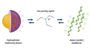 Hplc Methods For Purity Evaluation Of Man-Made Single-Stranded Rnas |  Scientific Reports