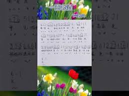 一壶老酒 简谱教唱 歌词教唱 youtube songs to sing songs learning