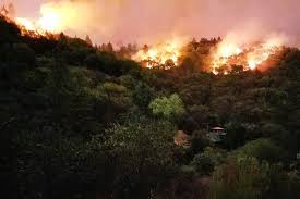 The chaparral fire started on august 28, 2021, off cleveland forest road and tenaja road southwest of murrieta in san diego county. Shrub Choked Wildlands Played A Role In California Fires High Country News Know The West