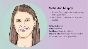 Meet the Cleveland area judicial candidates vying for your vote