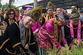 The sabahans have been urged to embrace the spirit of the kaamatan (harvest) festival by working together, regardless of their backgrounds, to develop the state, said chief minister datuk hajiji noor. Tadau Ka Amatan Harvest Festival Event Go Where When