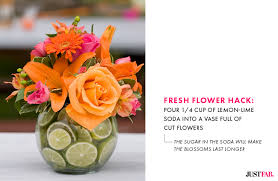 We did not find results for: 5 Hacks To Keep Your Mother S Day Flowers Fresh