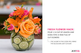 Check spelling or type a new query. 5 Hacks To Keep Your Mother S Day Flowers Fresh