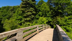 Can you camp at starved rock. Starved Rock Camping What You Need To Know And The Most Popular Times To Visit