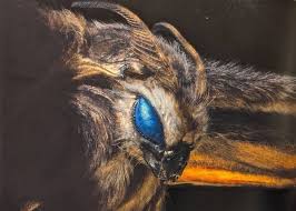 Mothra S Face By Misssaber444 On Deviantart Kaiju Kaiju Monsters Godzilla