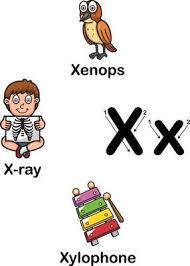 Affordable and search from millions of royalty free images, photos and. Alphabet Buchstabe X Xenops Rontgen Xylophon Illustration 3239306 Vektor Kunst Bei Vecteezy
