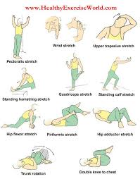Different Types Of Stretches Physical Therapy Exercises Arthritis Exercises Physical Therapy