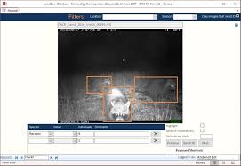 Overview Camera Trap Ml Survey