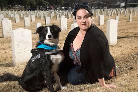 461 likes · 26 talking about this · 39 were here. Want A Therapy Dog For Your Funeral Home Learn About The Process