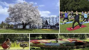 Wie genau erfahren sie in hallo hessen. Die Schonsten Parks In Nordhessen Und Sudniedersachsen Welt