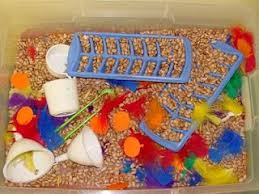 Sensory Table Ideas Sensory Table Kids Sensory Preschool Activities