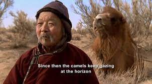 Legend has it that if a camel finally agrees to nurse her young, this will cause her to weep. The Story Of The Weeping Camel 2003 By P G R Nair