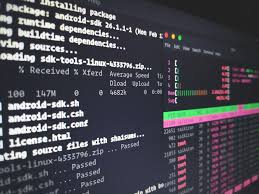 Introduction to the command-line interface | The Man in the Arena