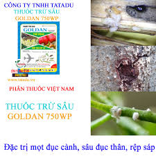 Goldan 750WP