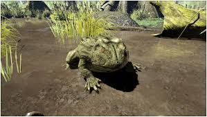 Finding these little guys is guaranteed when you search a log or water pump (as in forgotten grotto). Ark Beelzebufo Guide Abilities Taming Food Saddle Breeding Drops Location Progametalk
