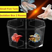 This is the my most popular video demonstrating keeping a male betta in a. Acrylic Guppy Fish Tank Two Splits Aquarium Betta Fish Bowl Transparent Aquarium Hatchery Breeding Isolation Box At009 Isolation Box Guppy Fish Tankfish Bowl Aliexpress