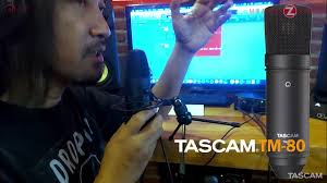Tascam Mic TM70 Dynamic Podcast Mic vs TM80 Studio Condensor Mic