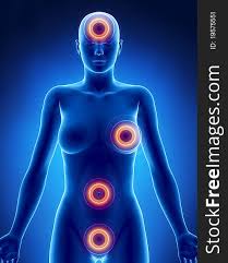 Female body shapes part 2 by rofelrolf on deviantart. Female Body With Most Frequently Pain Parts Free Stock Images Photos 19575551 Stockfreeimages Com
