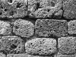 Image result for Verde Giannutri 2008 147