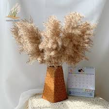 Maybe you would like to learn more about one of these? Dried Pampas Grass Decor Fluffy Tall 20 22 Wedding Flowers Arrangement Natural Bouquet For Home Christmas Decorations Vase Artificial Dried Flowers Aliexpress