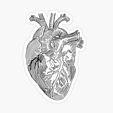 All the best heart drawing for kids 37+ collected on this page. Anatomical Heart Drawing Kids T Shirt By Corazonpompom Redbubble