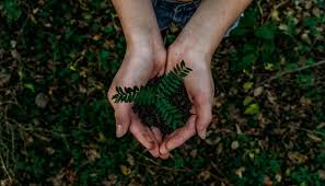 Here S Why The Nature Conservancy Has Invested In 5 Soil Health Startups