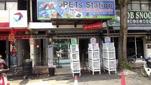 Our main business can be listed as below: Penang Kini Kedai Pet Shop Bumiputra Di Permatang Pauh Facebook