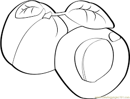 It is consumed mainly as fresh fruit, although it is also used to make some derivatives such as compotes, jams, and juices. Half Apricot Coloring Page For Kids Free Apricots Printable Coloring Pages Online For Kids Coloringpages101 Com Coloring Pages For Kids