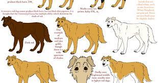 Dog Colors Guide Red By Leonca On Deviantart Dogs Dog Drawing Dog Chart