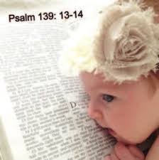 Watson bridge forum P