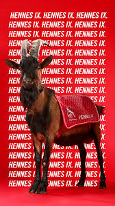 Museum das fc bayern museum tauchen sie ein und erleben sie deutschlands größtes vereinsmuseum! 1 Fc Koln En Twitter Zeit Fur Den Wallpaperwednesday Welches Bild Darf Ab Jetzt Deinen Sperrbildschirm Verschonern