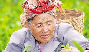 Günstiger geht's nicht! g