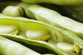 Pasta con fave fresche e ricotta, pasta con fave. Come Cucinare Le Fave Fresche Ohga