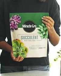 It also contains forest products, sand. Miracle Gro Succulent Potting Mix Greendigs