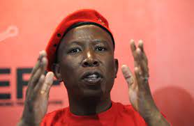 Julius malema, less anc firebrand, more placid farmer. Pan African Parliament To Pick A New President Amid Fallout Over Malema Kill You Threat News24