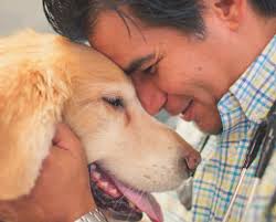 The power of Perseverance