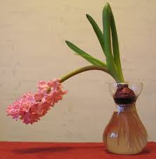 Pin On Garden Bulbs Planting Ideas